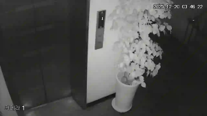 Caméra IP - República de Corea