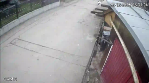 Caméra IP - Rumanía