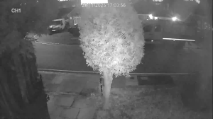 Caméra IP - Royaume-Uni