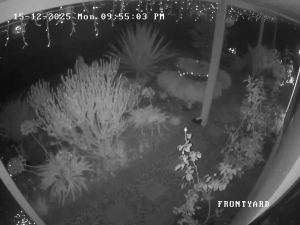 Caméra IP - Australie