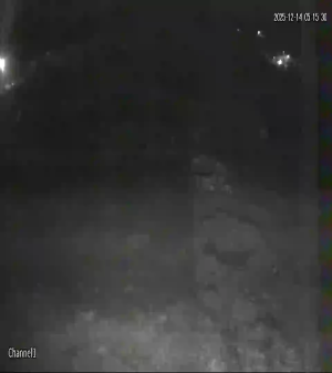 Caméra IP - Turquie