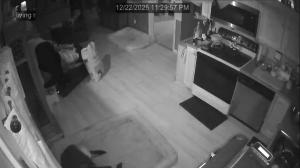 Caméra IP - Vereinigte Staaten von Amerika