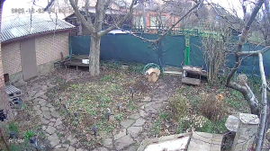 Caméra IP - Ucrania