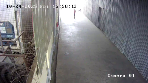 Caméra IP - Mauritius