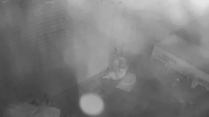 Caméra IP - Vietnam