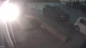 Caméra IP - Países Bajos