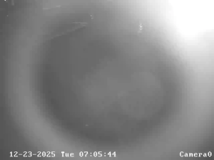 Caméra IP - Ucrania