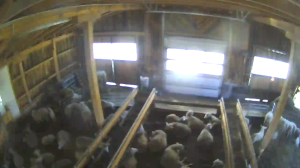 Caméra IP - Österreich