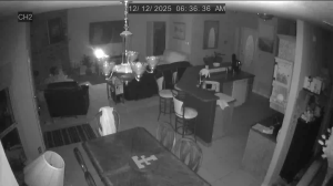 Caméra IP - United States of America