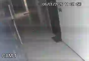 Caméra IP - Brésil