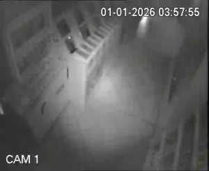 Caméra IP - Uzbekistan