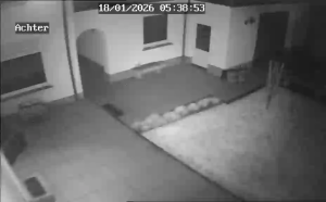 Caméra IP - Netherlands