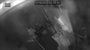 Caméra IP - South Korea