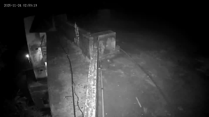 Caméra IP - Bangladesch