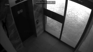 Caméra IP - South Korea