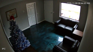 Caméra IP - United States of America