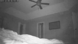 Caméra IP - United States of America