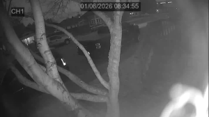 Caméra IP - États-Unis d'Amérique