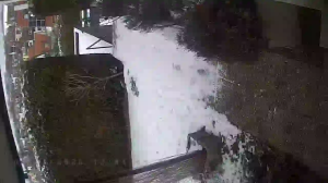 Caméra IP - Germany