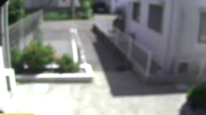 Caméra IP - Japan