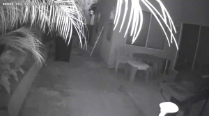 Caméra IP - United States of America