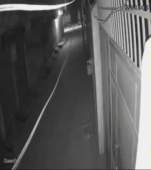 Caméra IP - Pakistan