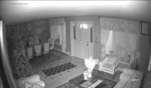 Caméra IP - Vereinigte Staaten von Amerika