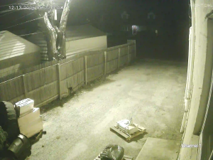 Caméra IP - Vereinigte Staaten von Amerika