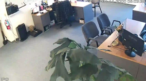 Caméra IP - Vereinigte Staaten von Amerika