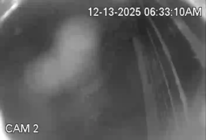 Caméra IP - United States of America