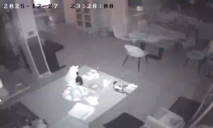 Caméra IP - Paesi Bassi