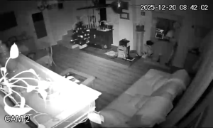 Caméra IP - Spanien