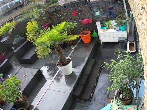 Caméra IP - Netherlands