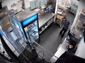 Caméra IP - United States of America