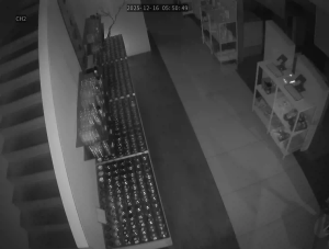 Caméra IP - Corée du Sud