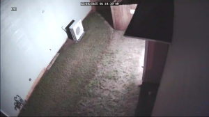 Caméra IP - United States of America