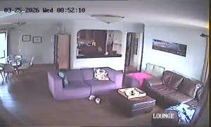 Caméra IP - Sudafrica