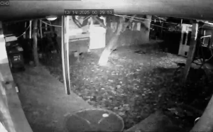 Caméra IP - Rumänien