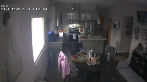 Caméra IP - Stati Uniti d'America