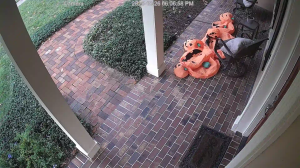 Caméra IP - Estados Unidos