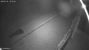 Caméra IP - Ucrania