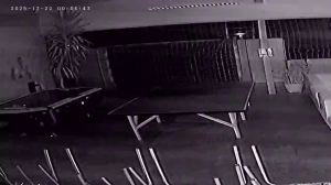 Caméra IP - Dänemark