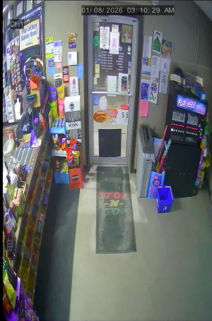 Caméra IP - United States of America