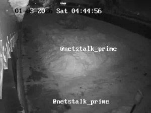 Caméra IP - Russian Federation