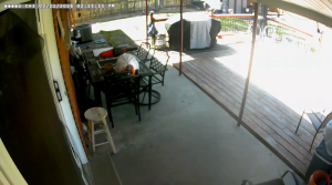 Caméra IP - Estados Unidos