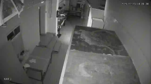 Caméra IP - Russische Föderation