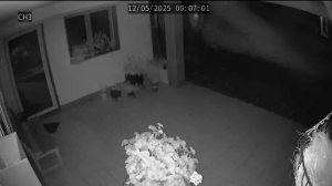 Caméra IP - Portugal