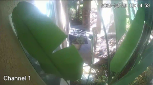 Caméra IP - États-Unis d'Amérique