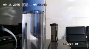Caméra IP - Chine