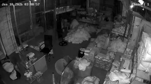 Caméra IP - Vietnam